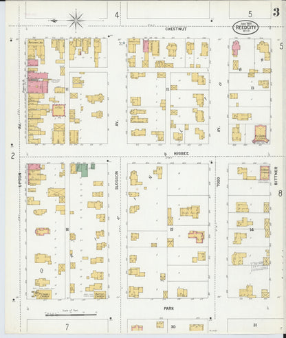 Sanborn Fire Insurance Map from Reed City, Osceola County, Michigan (1900), Sheet #0003 - Complete Map Set gallery image, historic Sanborn map, vintage wall art, Michigan Michigan