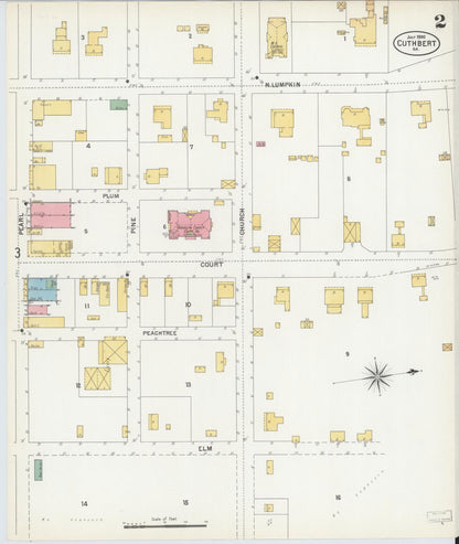Sanborn Fire Insurance Map from Cuthbert, Randolph County, Georgia (1900), Sheet #0002 - Complete Map Set gallery image, historic Sanborn map, vintage wall art, Georgia Georgia