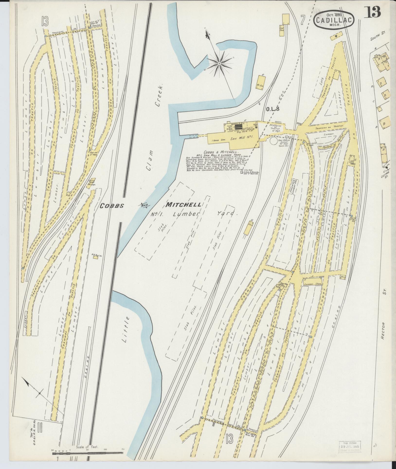 Sanborn Fire Insurance Map from Cadillac, Wexford County, Michigan (1895), Sheet #0013 - Historic Sanborn Fire Insurance Map Print, vintage old map wall art, antique decor, genealogy gift, Michigan Michigan map