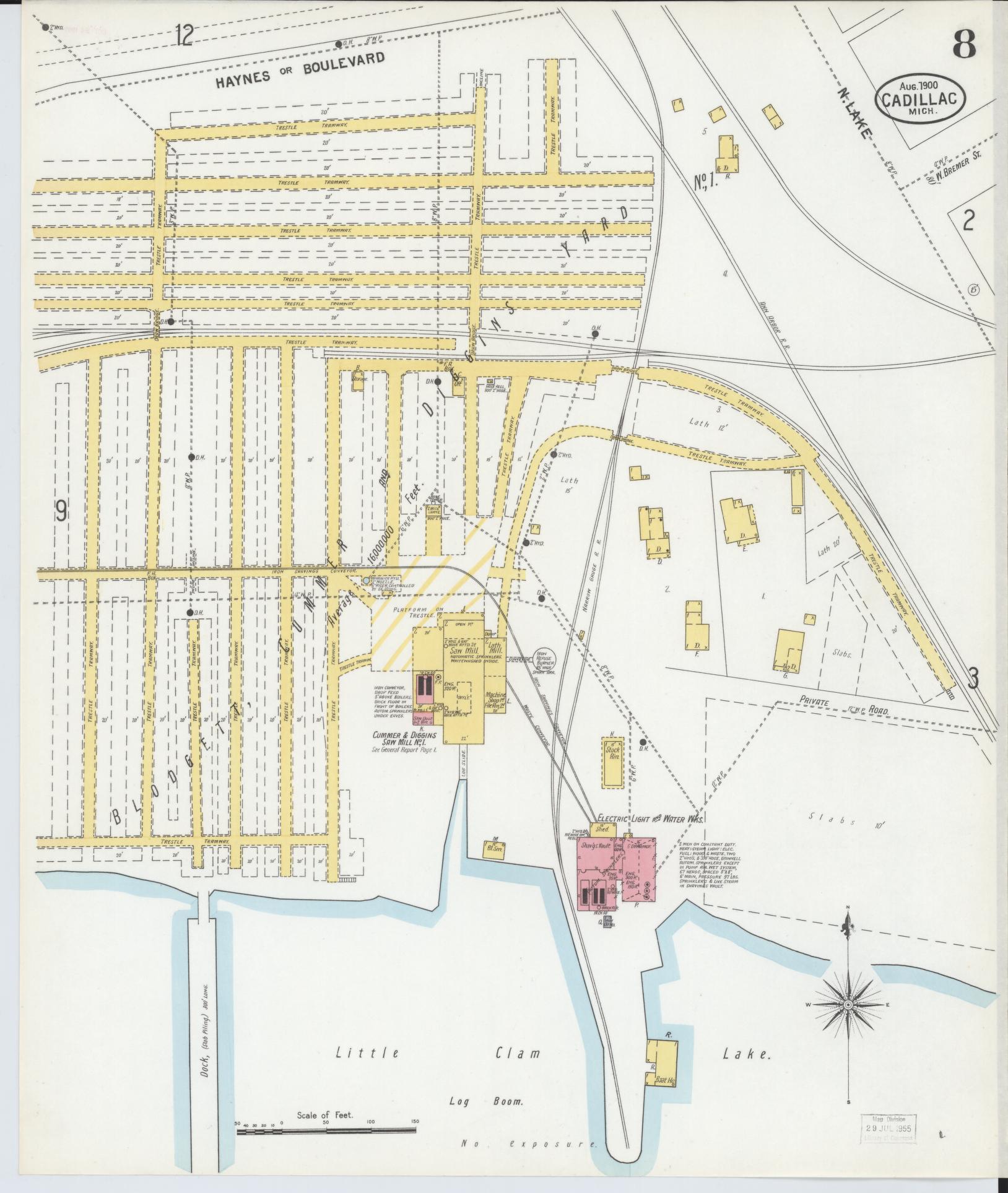 Sanborn Fire Insurance Map from Cadillac, Wexford County, Michigan (1900), Sheet #0008 - Historic Sanborn Fire Insurance Map Print, vintage old map wall art, antique decor, genealogy gift, Michigan Michigan map