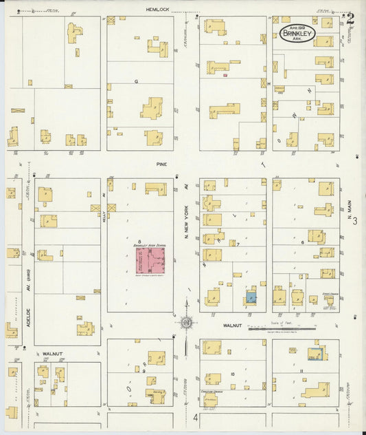 Sanborn Fire Insurance Map from Brinkley, Monroe County, Arkansas (1919), Sheet #0002 - Historic Sanborn Fire Insurance Map Print, vintage old map wall art, antique decor, genealogy gift, Arkansas Arkansas map