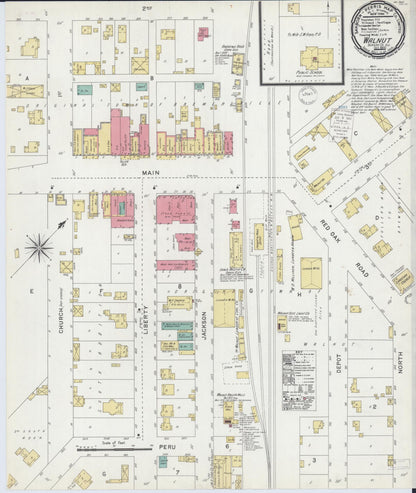 Sanborn Fire Insurance Map from Walnut, Bureau County, Illinois (1900), Sheet #0001 - Historic Sanborn Fire Insurance Map Print, vintage old map wall art, antique decor, genealogy gift, Illinois Illinois map