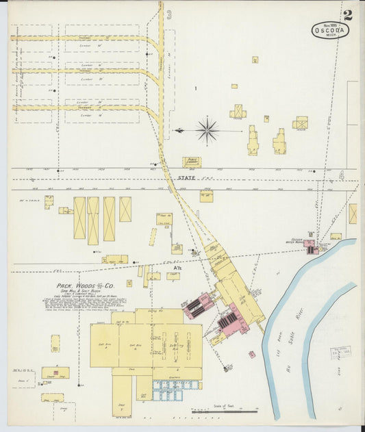 Sanborn Fire Insurance Map from Oscoda, Iosco County, Michigan (1895), Sheet #0002 - Historic Sanborn Fire Insurance Map Print, vintage old map wall art, antique decor, genealogy gift, Michigan Michigan map
