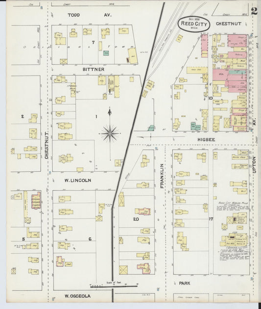 Sanborn Fire Insurance Map from Reed City, Osceola County, Michigan (1890), Sheet #0002 - Historic Sanborn Fire Insurance Map Print, vintage old map wall art, antique decor, genealogy gift, Michigan Michigan map