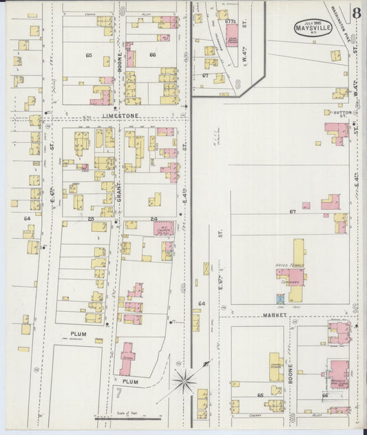Sanborn Fire Insurance Map from Maysville, Mason County, Kentucky (1895), Sheet #0008 - Historic Sanborn Fire Insurance Map Print, vintage old map wall art, antique decor, genealogy gift, Kentucky Kentucky map