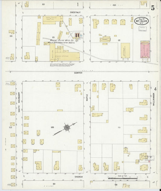 Sanborn Fire Insurance Map from Mount Olive, Wayne County, North Carolina (1912), Sheet #0005 - Historic Sanborn Fire Insurance Map Print, vintage old map wall art, antique decor, genealogy gift, North Carolina North Carolina map
