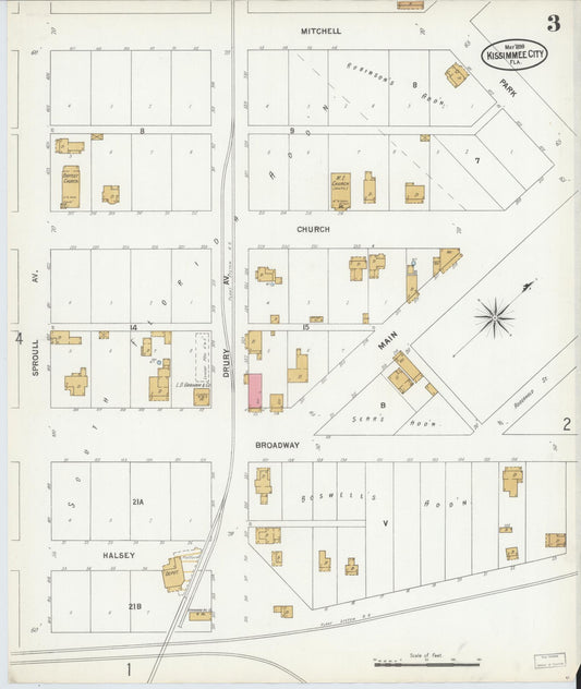 Sanborn Fire Insurance Map from Kissimmee, Osceola County, Florida (1899), Sheet #0003 - Historic Sanborn Fire Insurance Map Print, vintage old map wall art, antique decor, genealogy gift, Florida Florida map