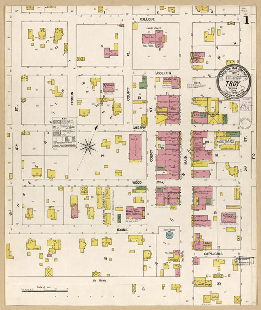 Sanborn Fire Insurance Map from Troy, Lincoln County, Missouri (1902), Sheet #0001 - Historic Sanborn Fire Insurance Map Print, vintage old map wall art, antique decor, genealogy gift, Missouri Missouri map