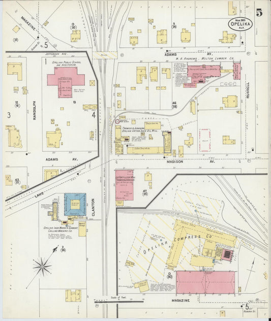 Sanborn Fire Insurance Map from Opelika, Lee County, Alabama (1903), Sheet #0005 - Historic Sanborn Fire Insurance Map Print, vintage old map wall art, antique decor, genealogy gift, Alabama Alabama map