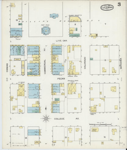 Sanborn Fire Insurance Map from Coleman, Coleman County, Texas (1893), Sheet #0003 - Complete Map Set gallery image, historic Sanborn map, vintage wall art, Texas Texas