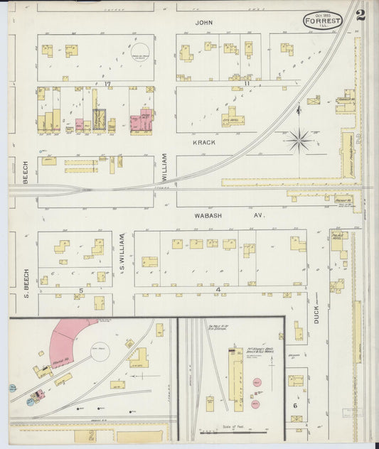 Sanborn Fire Insurance Map from Forrest, Livingston County, Illinois (1893), Sheet #0002 - Historic Sanborn Fire Insurance Map Print, vintage old map wall art, antique decor, genealogy gift, Illinois Illinois map