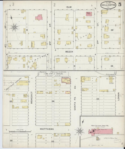 Sanborn Fire Insurance Map from Chillicothe, Peoria County, Illinois (1893), Sheet #0005 - Historic Sanborn Fire Insurance Map Print, vintage old map wall art, antique decor, genealogy gift, Illinois Illinois map
