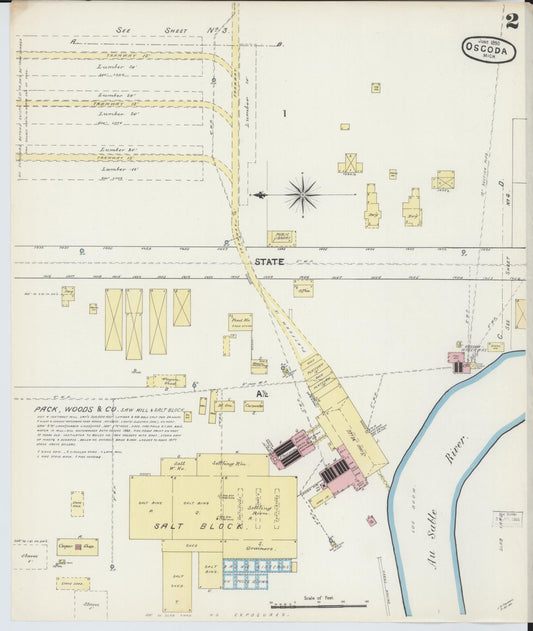 Sanborn Fire Insurance Map from Oscoda, Iosco County, Michigan (1890), Sheet #0002 - Historic Sanborn Fire Insurance Map Print, vintage old map wall art, antique decor, genealogy gift, Michigan Michigan map