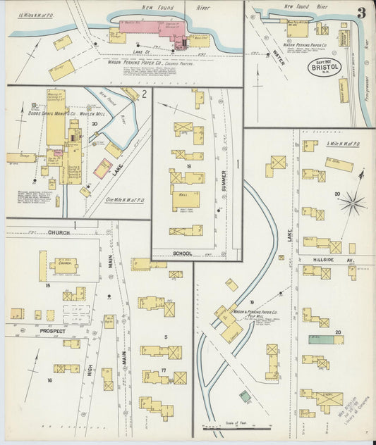 Sanborn Fire Insurance Map from Bristol, Grafton County, New Hampshire (1902), Sheet #0003 - Historic Sanborn Fire Insurance Map Print, vintage old map wall art, antique decor, genealogy gift, New Hampshire New Hampshire map