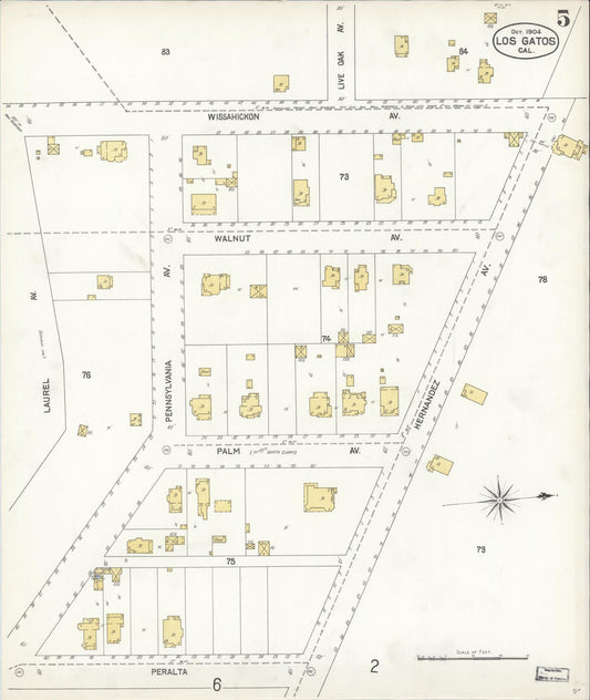 Sanborn Fire Insurance Map from Los Gatos, Santa Clara County, California (1904), Sheet #0005 - Historic Sanborn Fire Insurance Map Print, vintage old map wall art, antique decor, genealogy gift, California California map