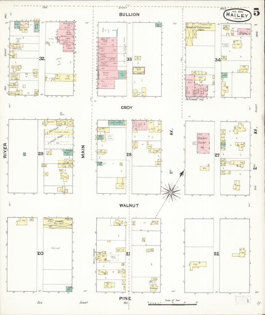 Sanborn Fire Insurance Map from Hailey, Blaine County, Idaho (1890), Sheet #0005 - Historic Sanborn Fire Insurance Map Print, vintage old map wall art, antique decor, genealogy gift, Idaho Idaho map