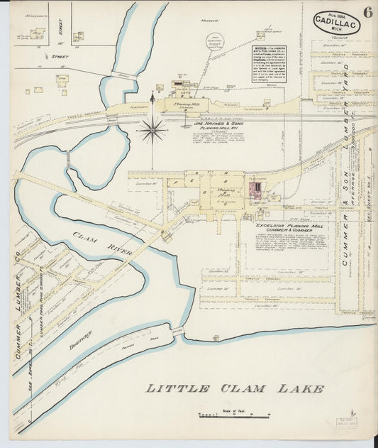 Sanborn Fire Insurance Map from Cadillac, Wexford County, Michigan (1884), Sheet #0006 - Historic Sanborn Fire Insurance Map Print, vintage old map wall art, antique decor, genealogy gift, Michigan Michigan map