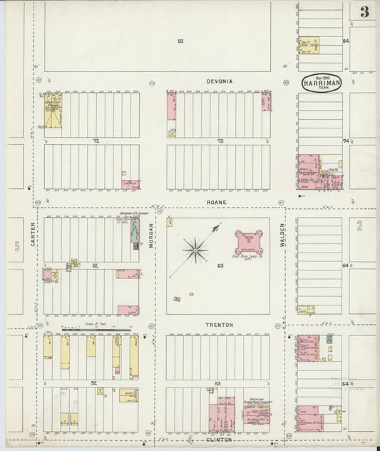 Sanborn Fire Insurance Map from Harriman, Roane County, Tennessee (1895), Sheet #0003 - Historic Sanborn Fire Insurance Map Print, vintage old map wall art, antique decor, genealogy gift, Tennessee Tennessee map