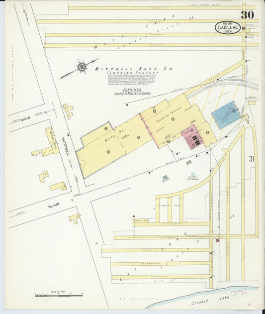 Sanborn Fire Insurance Map from Cadillac, Wexford County, Michigan (1914), Sheet #0030 - Historic Sanborn Fire Insurance Map Print, vintage old map wall art, antique decor, genealogy gift, Michigan Michigan map
