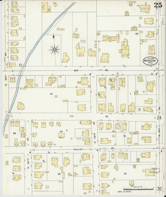 Sanborn Fire Insurance Map from Meridian, Lauderdale County, Mississippi (1906), Sheet #0025 - Historic Sanborn Fire Insurance Map Print, vintage old map wall art, antique decor, genealogy gift, Mississippi Mississippi map
