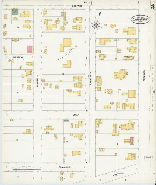 Sanborn Fire Insurance Map from Corpus Christi, Nueces County, Texas (1900), Sheet #0003 - Historic Sanborn Fire Insurance Map Print, vintage old map wall art, antique decor, genealogy gift, Texas Texas map