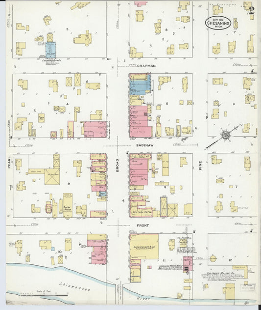 Sanborn Fire Insurance Map from Chesaning, Saginaw County, Michigan (1910), Sheet #0002 - Historic Sanborn Fire Insurance Map Print, vintage old map wall art, antique decor, genealogy gift, Michigan Michigan map