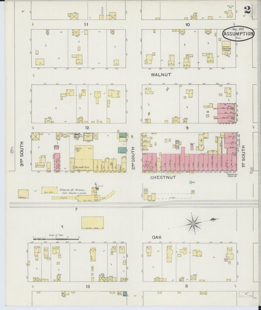 Sanborn Fire Insurance Map from Assumption, Christian County, Illinois (1893), Sheet #0002 - Historic Sanborn Fire Insurance Map Print, vintage old map wall art, antique decor, genealogy gift, Illinois Illinois map
