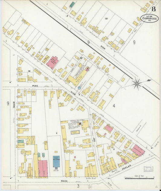Sanborn Fire Insurance Map from Cambridge, Dorchester County, Maryland (1906), Sheet #0008 - Historic Sanborn Fire Insurance Map Print, vintage old map wall art, antique decor, genealogy gift, Maryland Maryland map