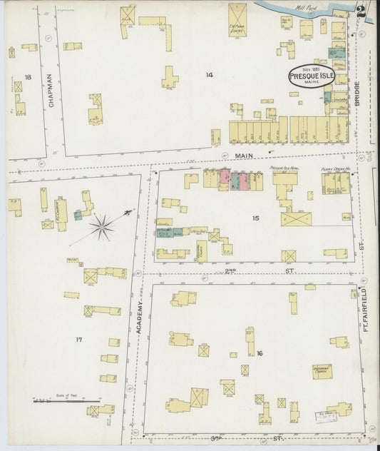 Sanborn Fire Insurance Map from Presque Isle, Aroostook County, Maine (1893), Sheet #0002 - Historic Sanborn Fire Insurance Map Print, vintage old map wall art, antique decor, genealogy gift, Maine Maine map