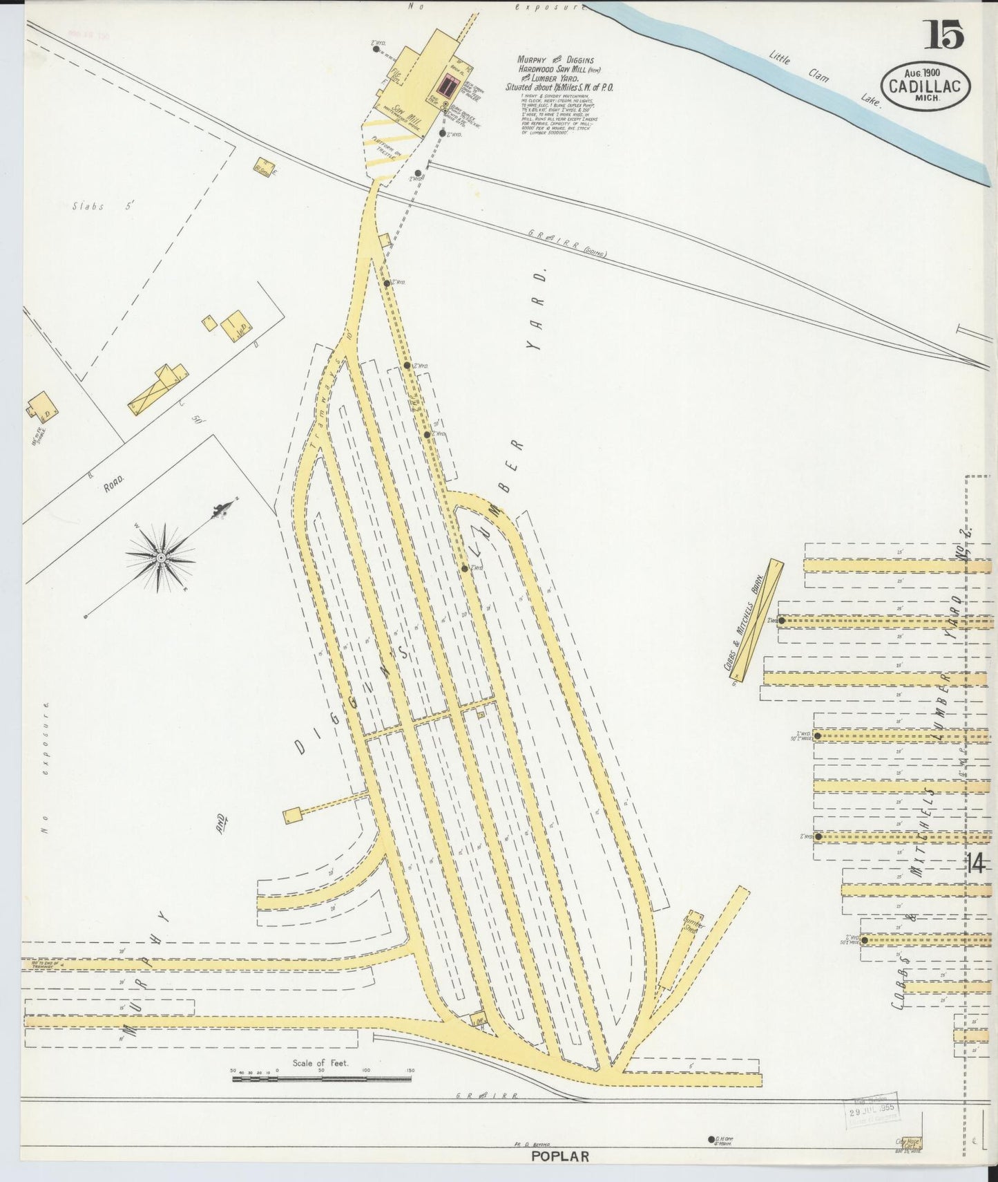 Sanborn Fire Insurance Map from Cadillac, Wexford County, Michigan (1900), Sheet #0015 - Historic Sanborn Fire Insurance Map Print, vintage old map wall art, antique decor, genealogy gift, Michigan Michigan map