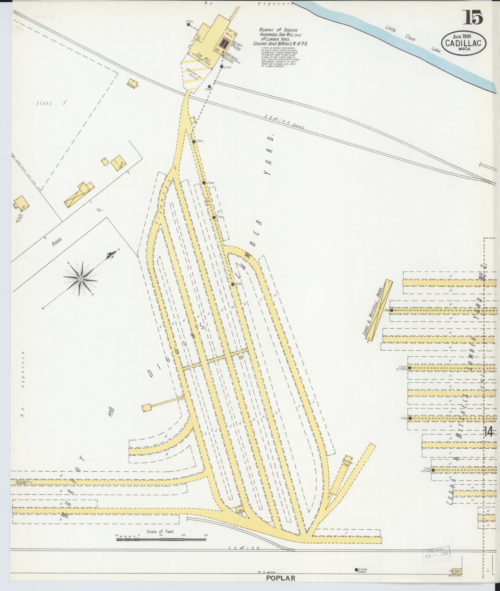 Sanborn Fire Insurance Map from Cadillac, Wexford County, Michigan (1900), Sheet #0015 - Historic Sanborn Fire Insurance Map Print, vintage old map wall art, antique decor, genealogy gift, Michigan Michigan map
