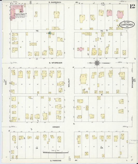 Sanborn Fire Insurance Map from Carthage, Jasper County, Missouri (1909), Sheet #0012 - Historic Sanborn Fire Insurance Map Print, vintage old map wall art, antique decor, genealogy gift, Missouri Missouri map
