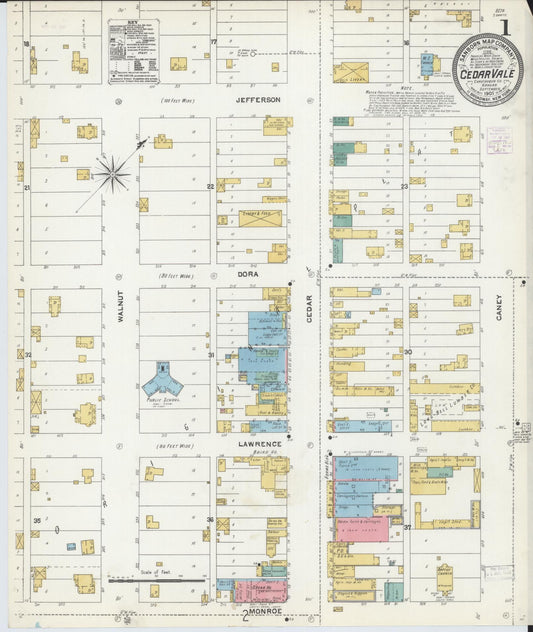 Sanborn Fire Insurance Map from Cedar Vale, Chautauqua County, Kansas (1905), Sheet #0001 - Historic Sanborn Fire Insurance Map Print, vintage old map wall art, antique decor, genealogy gift, Kansas Kansas map