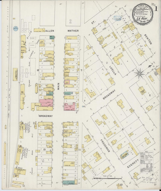 Sanborn Fire Insurance Map from Le Roy, Mower County, Minnesota (1894), Sheet #0001 - Historic Sanborn Fire Insurance Map Print, vintage old map wall art, antique decor, genealogy gift, Minnesota Minnesota map