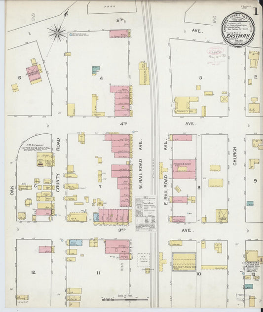 Sanborn Fire Insurance Map from Eastman, Dodge County, Georgia (1893), Sheet #0001 - Historic Sanborn Fire Insurance Map Print, vintage old map wall art, antique decor, genealogy gift, Georgia Georgia map