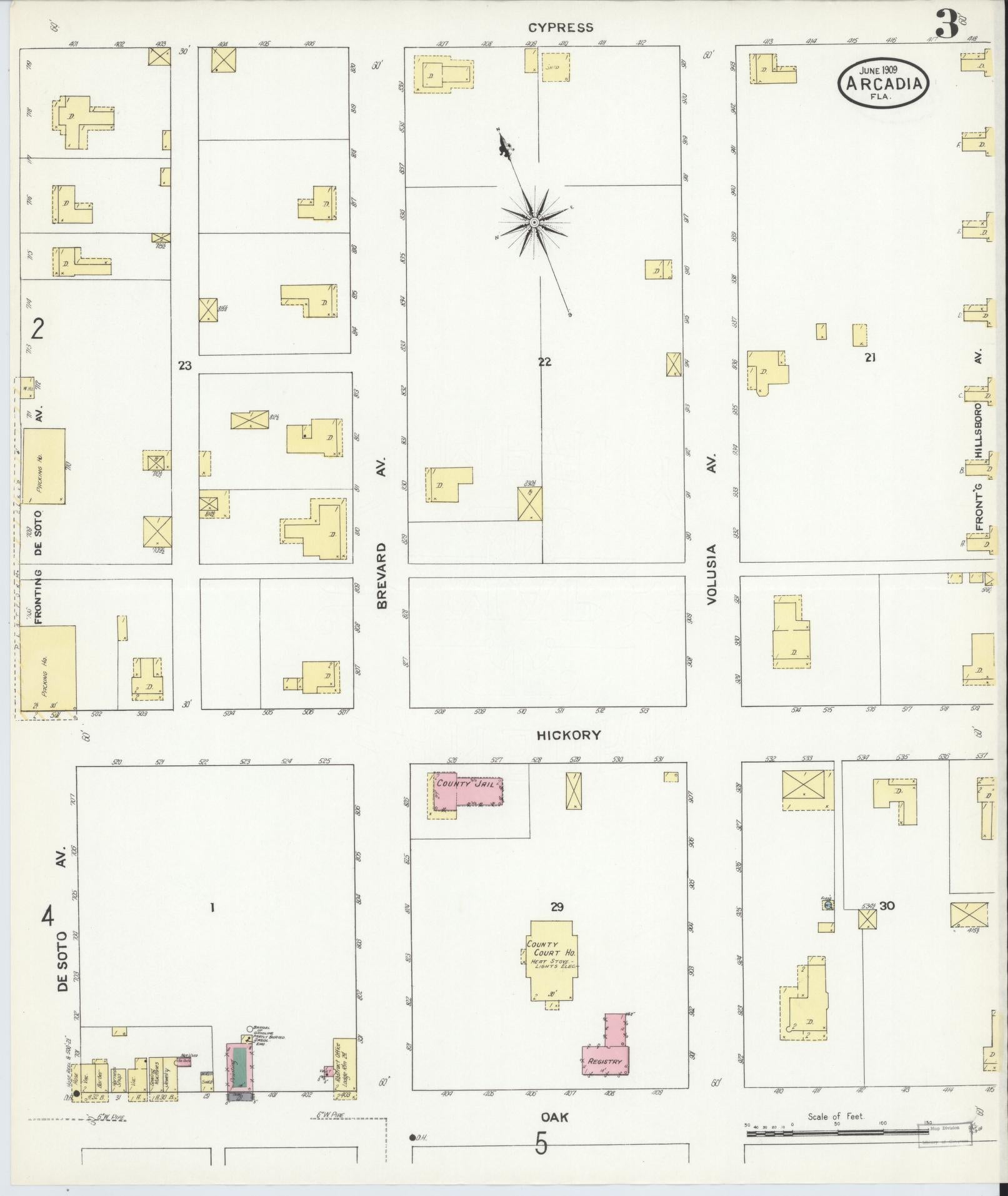 Sanborn Fire Insurance Map from Arcadia, DeSoto County, Florida (1909), Sheet #0003 - Historic Sanborn Fire Insurance Map Print, vintage old map wall art, antique decor, genealogy gift, Florida Florida map