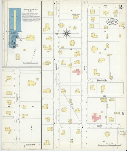Sanborn Fire Insurance Map from Decatur, Wise County, Texas (1907), Sheet #0002 - Historic Sanborn Fire Insurance Map Print, vintage old map wall art, antique decor, genealogy gift, Texas Texas map