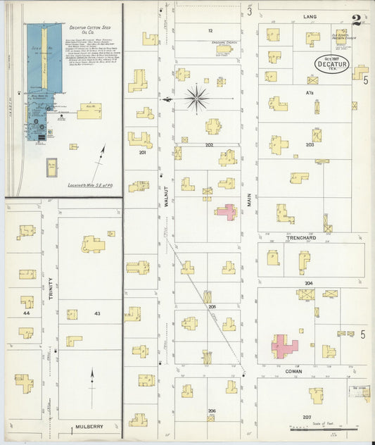 Sanborn Fire Insurance Map from Decatur, Wise County, Texas (1907), Sheet #0002 - Historic Sanborn Fire Insurance Map Print, vintage old map wall art, antique decor, genealogy gift, Texas Texas map