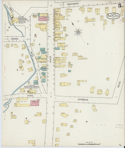 Sanborn Fire Insurance Map from Naples, Ontario County, New York (1893), Sheet #0003 - Complete Map Set gallery image, historic Sanborn map, vintage wall art, New York New York