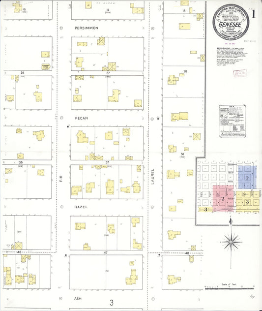 Sanborn Fire Insurance Map from Genesee, Latah County, Idaho (1909), Sheet #0001 - Complete Map Set gallery image, historic Sanborn map, vintage wall art, Idaho Idaho