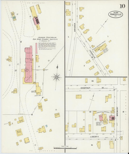 Sanborn Fire Insurance Map from Dansville, Livingston County, New York (1898), Sheet #0010 - Historic Sanborn Fire Insurance Map Print, vintage old map wall art, antique decor, genealogy gift, New York New York map