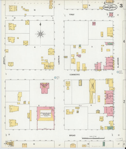 Sanborn Fire Insurance Map from Hawkinsville, Pulaski County, Georgia (1900), Sheet #0003 - Historic Sanborn Fire Insurance Map Print, vintage old map wall art, antique decor, genealogy gift, Georgia Georgia map