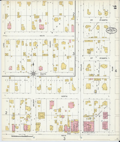 Sanborn Fire Insurance Map from Mount Olive, Macoupin County, Illinois (1905), Sheet #0002 - Complete Map Set gallery image, historic Sanborn map, vintage wall art, Illinois Illinois