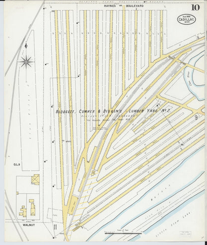 Sanborn Fire Insurance Map from Cadillac, Wexford County, Michigan (1900), Sheet #0010 - Complete Map Set gallery image, historic Sanborn map, vintage wall art, Michigan Michigan