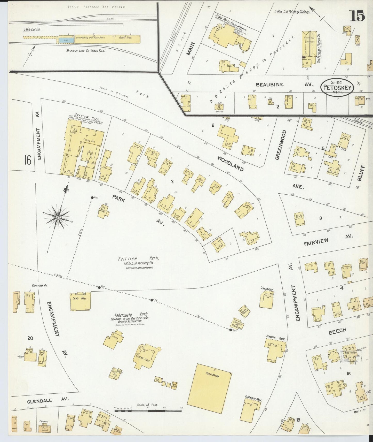 Sanborn Fire Insurance Map from Petoskey, Emmet County, Michigan (1901), Sheet #0015 - Complete Map Set gallery image, historic Sanborn map, vintage wall art, Michigan Michigan
