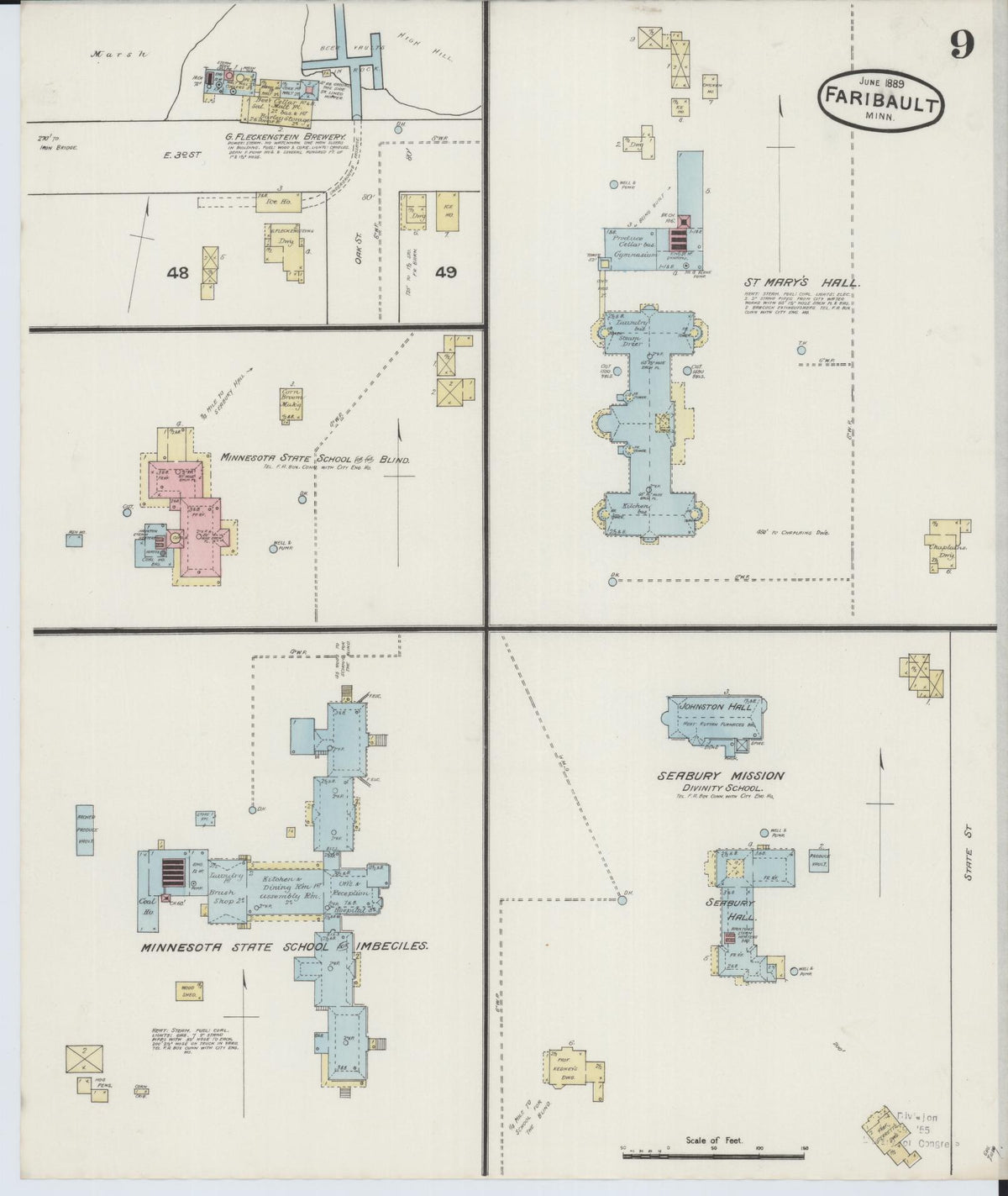 Sanborn Fire Insurance Map from Faribault, Rice County, Minnesota (1889), Sheet #0009 - Historic Sanborn Fire Insurance Map Print, vintage old map wall art, antique decor, genealogy gift, Minnesota Minnesota map