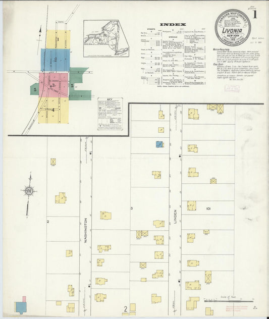 Sanborn Fire Insurance Map from Livonia, Livingston County, New York (1913), Sheet #0001 - Historic Sanborn Fire Insurance Map Print, vintage old map wall art, antique decor, genealogy gift, New York New York map