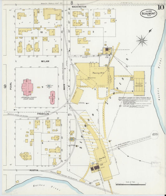Sanborn Fire Insurance Map from Beaumont, Jefferson County, Texas (1899), Sheet #0010 - Historic Sanborn Fire Insurance Map Print, vintage old map wall art, antique decor, genealogy gift, Texas Texas map