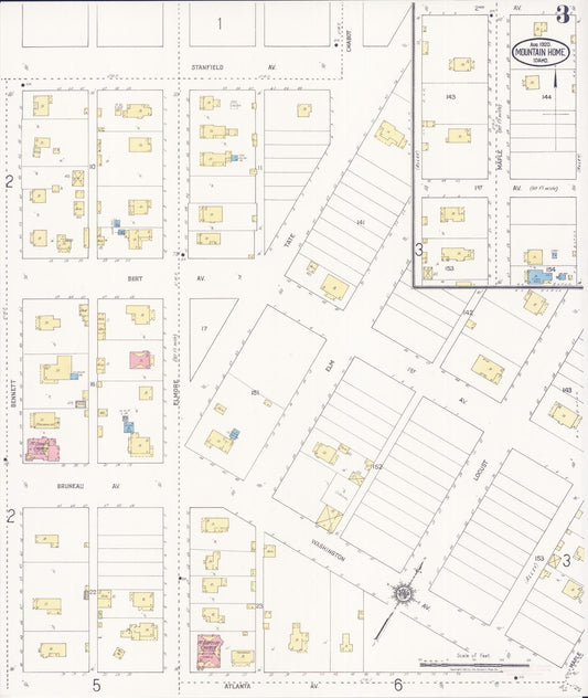 Sanborn Fire Insurance Map from Mountain Home, Elmore County, Idaho (1920), Sheet #0003 - Historic Sanborn Fire Insurance Map Print, vintage old map wall art, antique decor, genealogy gift, Idaho Idaho map