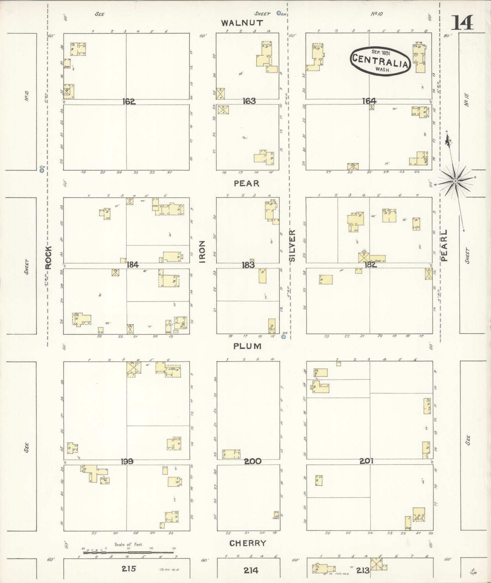 Sanborn Fire Insurance Map from Centralia, Lewis County, Washington (1891), Sheet #0014 - Complete Map Set gallery image, historic Sanborn map, vintage wall art, Washington Washington